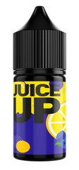 Аромабустер F*cked Juice Up Blueberry Lemon 12 мл (30 мл) фото товара