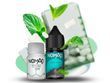 Nomad SALT Classy Mint 30 мл