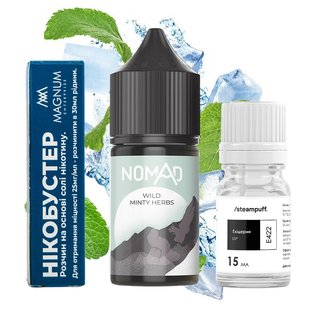 Набор Nomad SALT Wild Minty Herbs 30 мл 50 мг фото товара