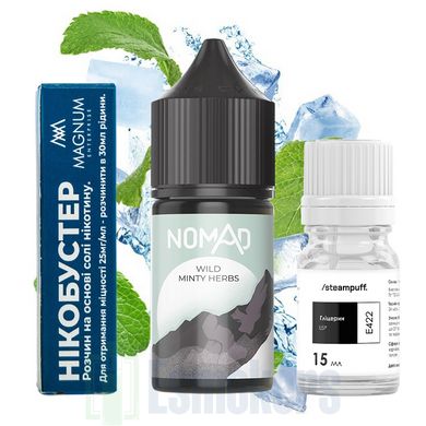 Набір Nomad SALT Wild Minty Herbs 30 мл 50 мг фото товару