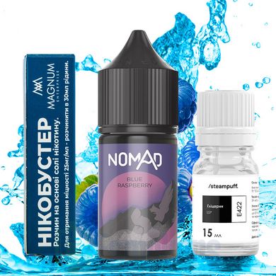 Набір Nomad SALT Blue Raspberry 30 мл фото товару